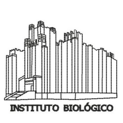 Embroidery Design Instituto Biológico Governo De S.p.