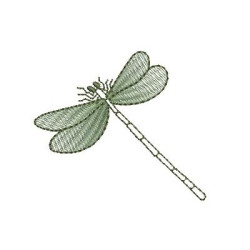 DRAGONFLY 4