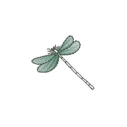 DRAGONFLY 5