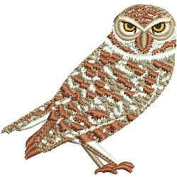 Embroidery Design Owl