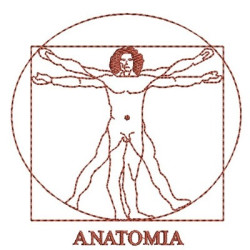 Embroidery Design Anatomy 2