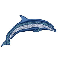 DOLPHIN