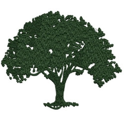 ÁRBOL