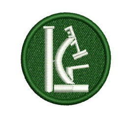 Embroidery Design Clinical Analysis 2