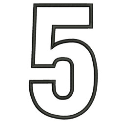 NÚMERO 5