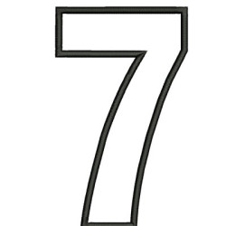 NUMBER 7