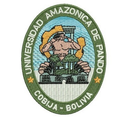 Matriz De Bordado Universidad Amazonica De Pando