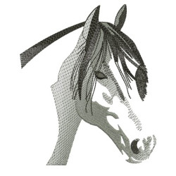 Matriz De Bordado Cavalo
