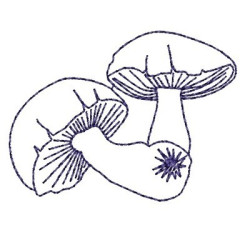 Embroidery Design Mushrooms