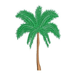Embroidery Design Coqueiro