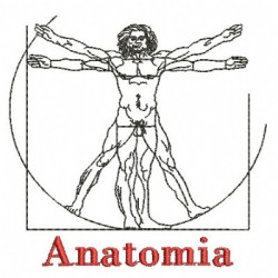 ANATOMIA 2