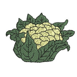 Embroidery Design Cabbage Flower