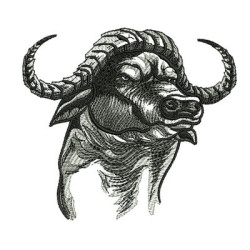 Embroidery Design Buffalo