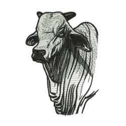 Matriz De Bordado Boi  Gado