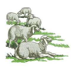 Embroidery Design Sheep Of Our Lady Of Fatima