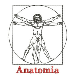 Diseño Para Bordado Anatomía 3