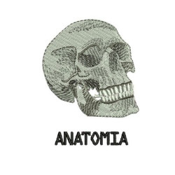 Diseño Para Bordado Anatomía 5