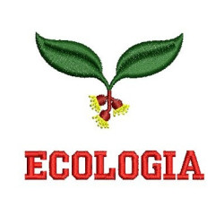 Embroidery Design Ecology