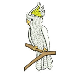 Matriz De Bordado Cacatua