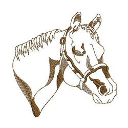 Embroidery Design Horse 2