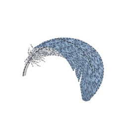 Embroidery Design Feather