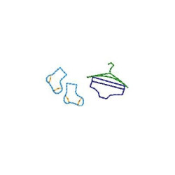 Embroidery Design Boxers And Socks