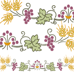 GRAPE VINES SET