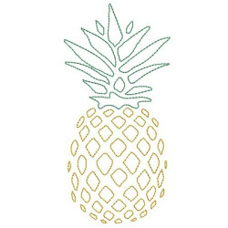 PINEAPPLE 6