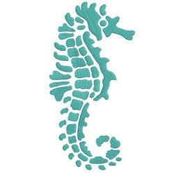 SEAHORSE 2