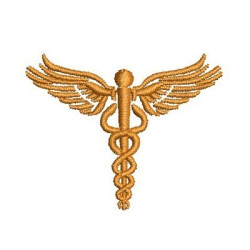 Matriz De Bordado Medicina 12