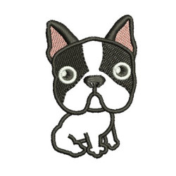 FRENCH BULLDOG