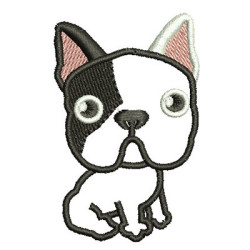 FRENCH BULLDOG 4