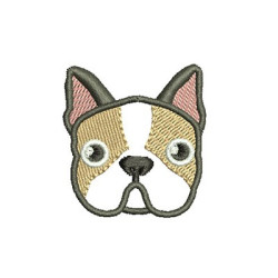 FRENCH BULLDOG 13