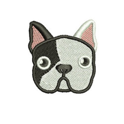 FRENCH BULLDOG 14