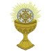 Chalice With Consecrated Hosts 2 December 2016