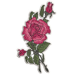 Embroidery Design Cross Decorated