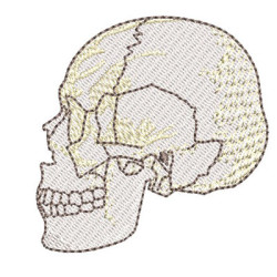 Embroidery Design Cranium 3