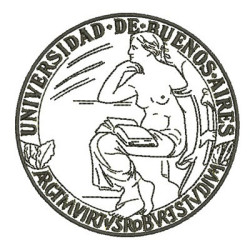 Embroidery Design University Of Buenos Aires