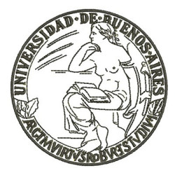 UNIVERSIDAD DE BUENOS AIRES